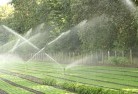 Isabella Plainslandscaping-water-management-and-drainage-17.jpg; ?>